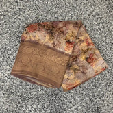 Organza Banarasi Saree